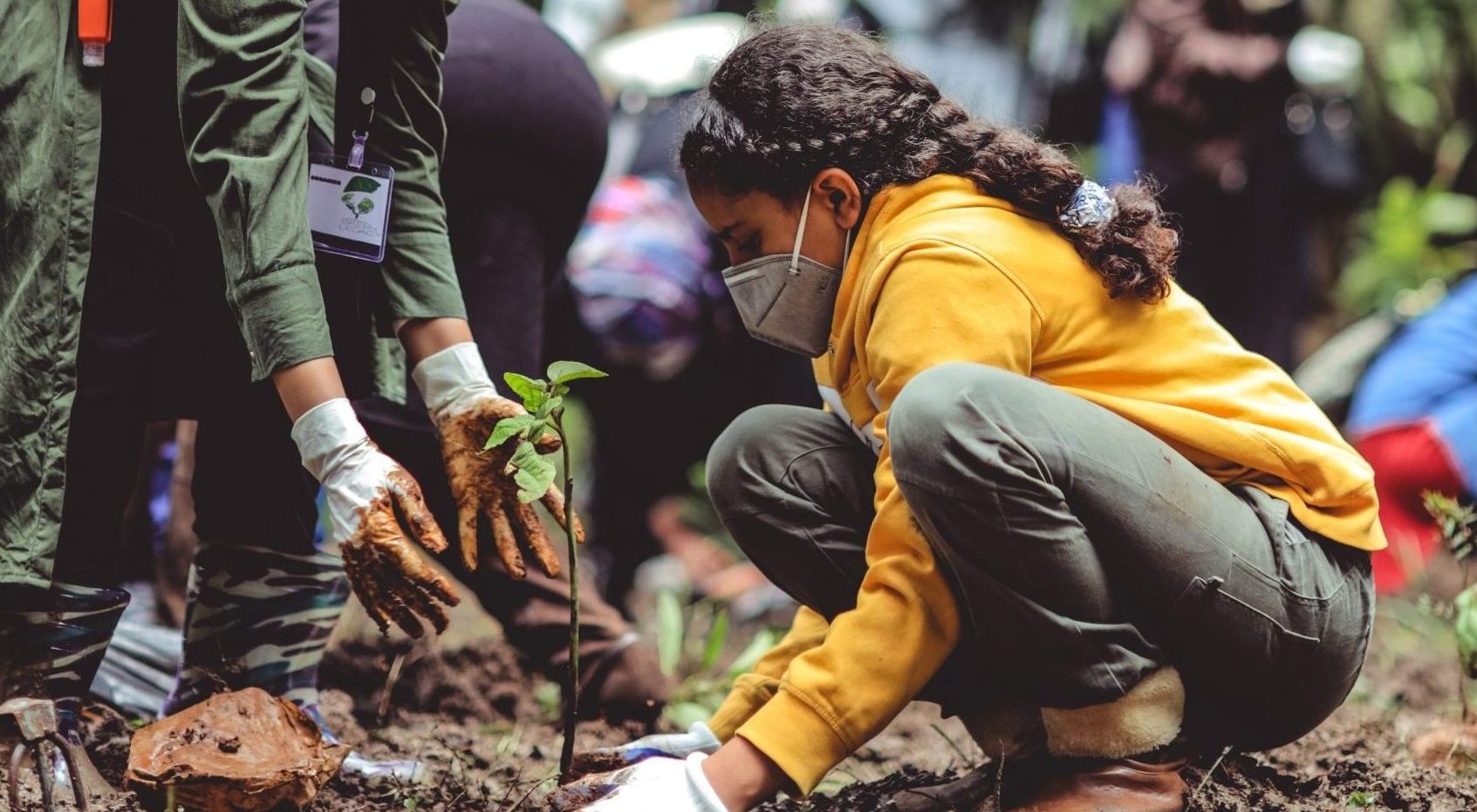 child planting a tree